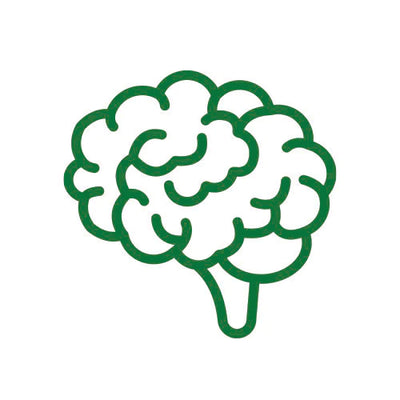 Brain & Mind collection