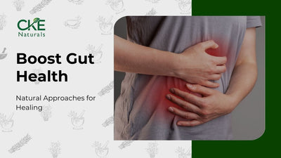 7 Effective Methods to Naturally Heal and Support Your Gut Health