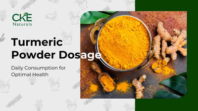 How Much Turmeric Powder per Day [2024 Guide] for Optimal Well-being