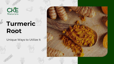 Turmeric Root Benefits: Uses for Turmeric Root