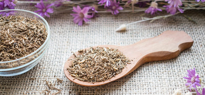 Valerian Root and its effects for sleep and relaxation